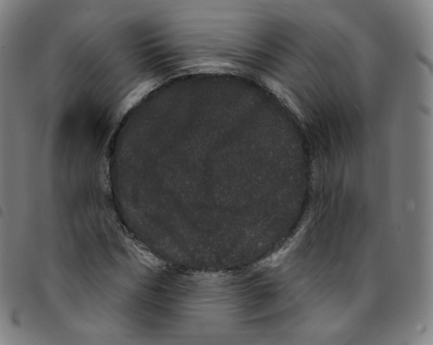 X0000095130970200801041242