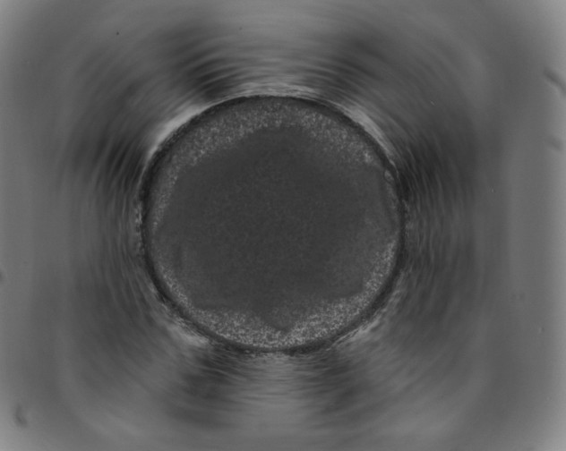 X0000095130971200801041242