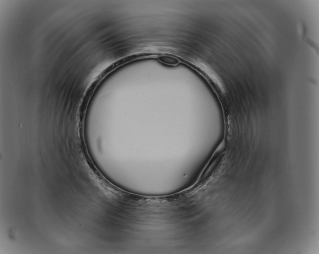 X0000095130972200801041242