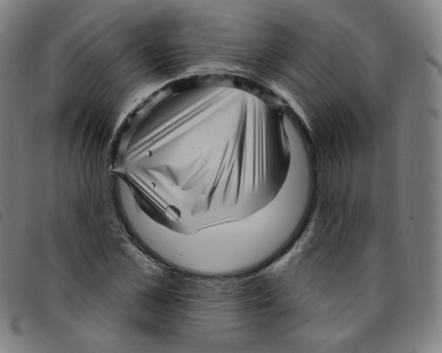 X0000095130973200801041242