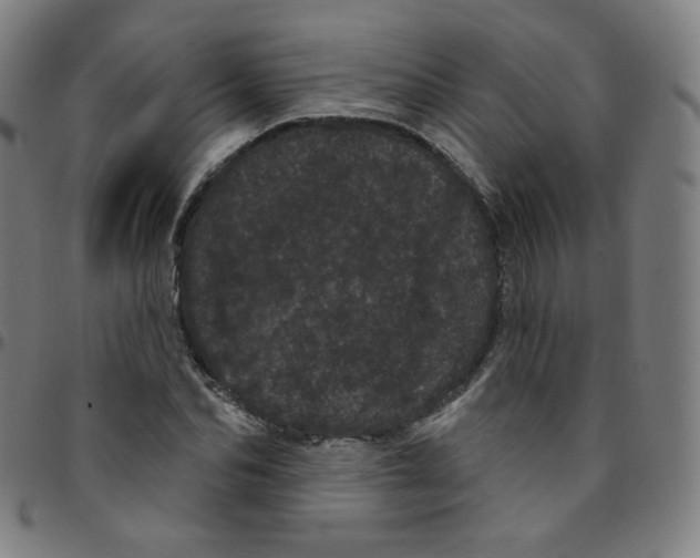 X0000095130974200801041242