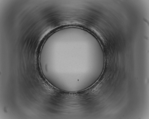 X0000095130975200801041242