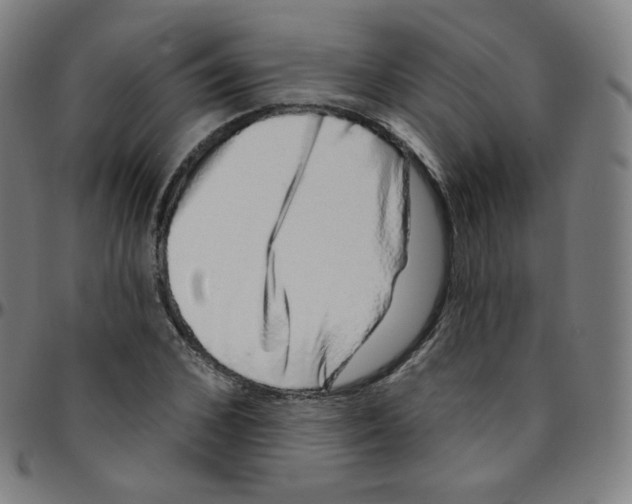 X0000095130976200801041242