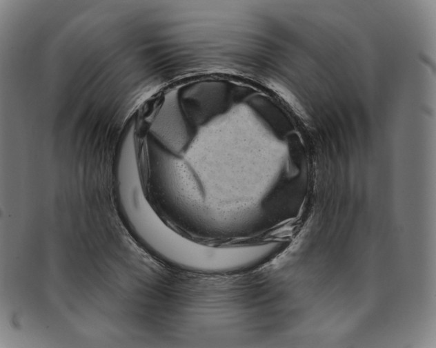 X0000095130977200801041242