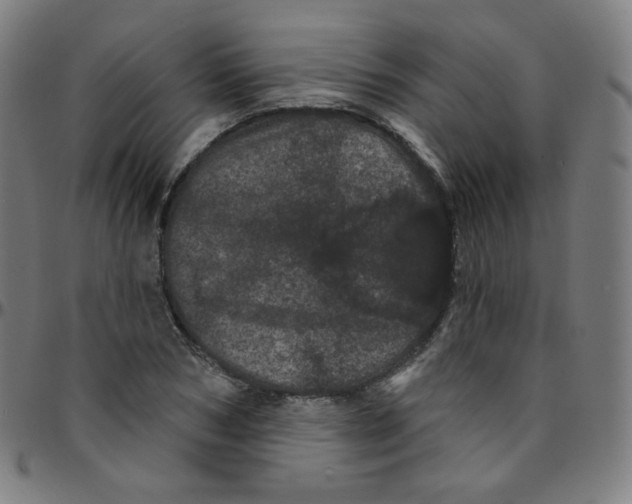 X0000095130978200801041242