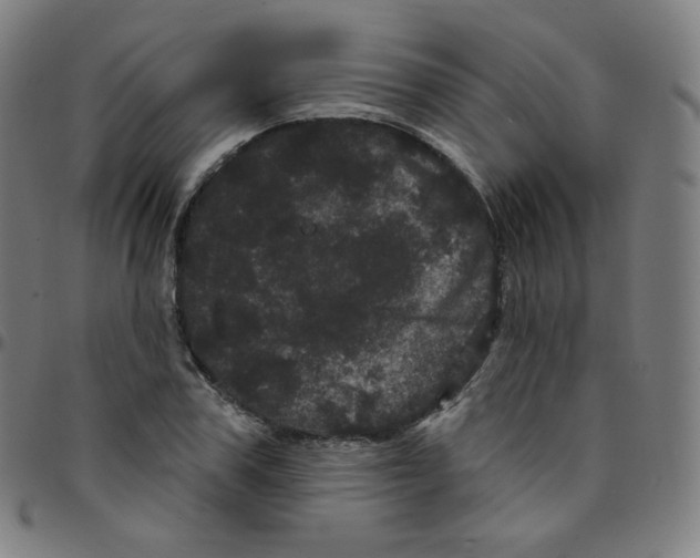 X0000095130979200801041242