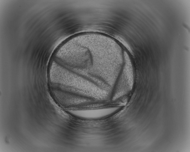 X0000095130980200801041242