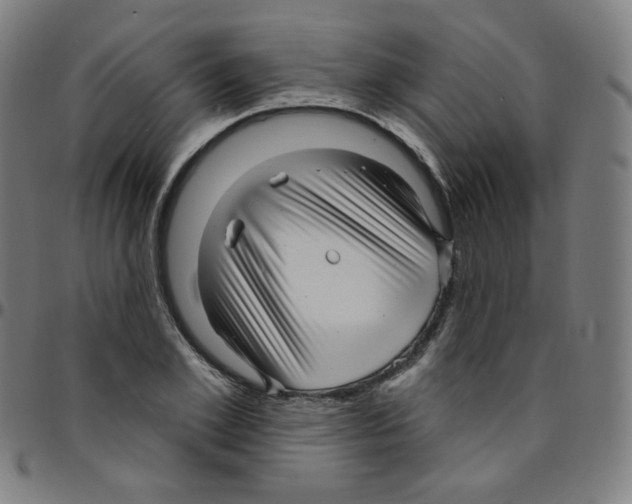 X0000095130981200801041242