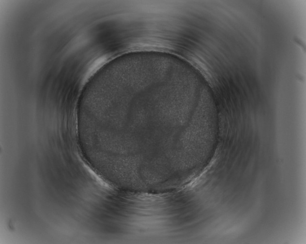 X0000095130982200801041242