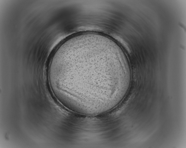 X0000095130983200801041242