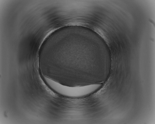 X0000095130984200801041242