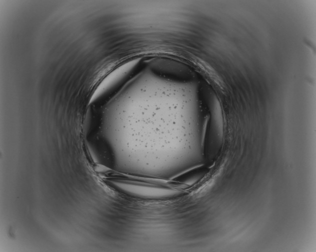 X0000095130985200801041242