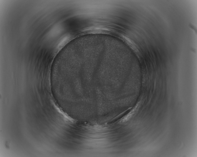 X0000095130986200801041242