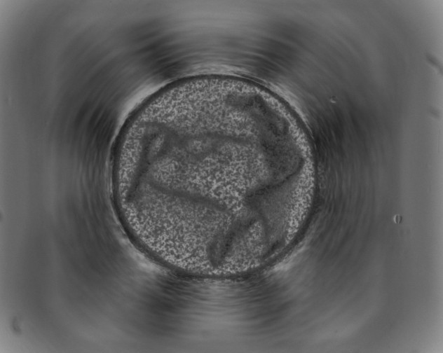 X0000095130987200801041242