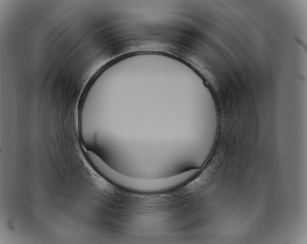 X0000095130988200801041242