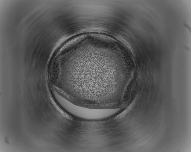 X0000095130989200801041242