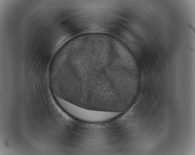 X0000095130990200801041242