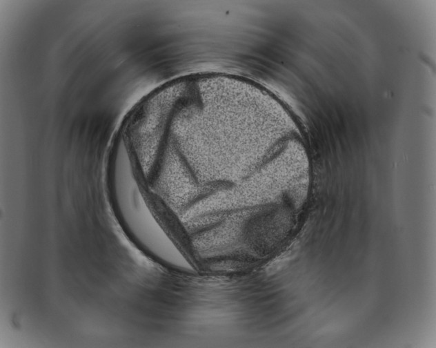 X0000095130991200801041242