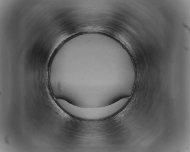 X0000095130992200801041242