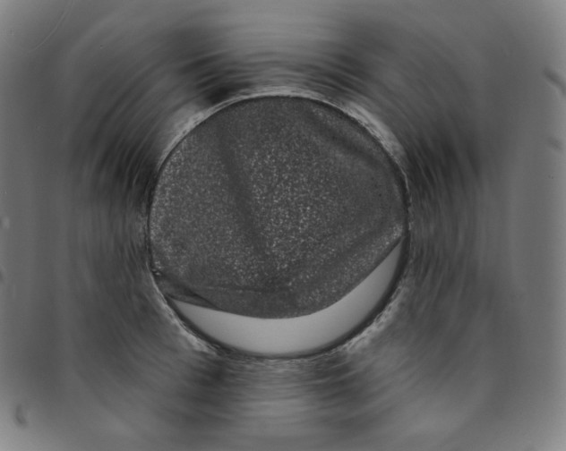 X0000095130993200801041242