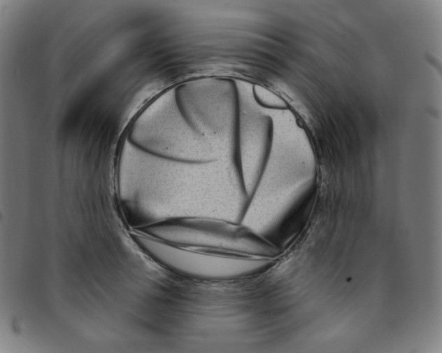 X0000095130994200801041242