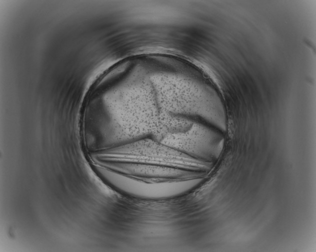 X0000095130995200801041242