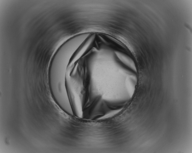 X0000095130996200801041242