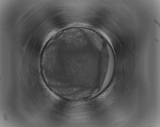 X0000095130997200801041242