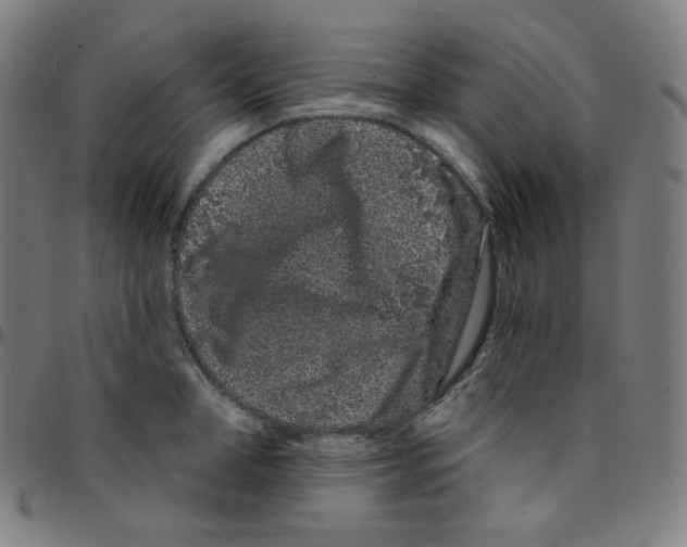 X0000095130998200801041242