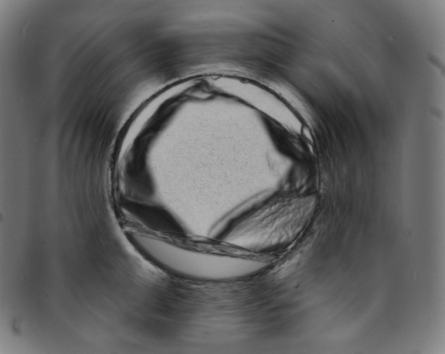 X0000095130999200801041242