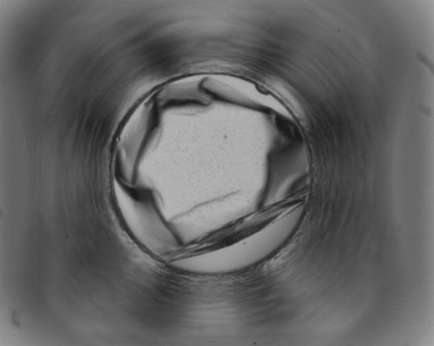 X0000095131000200801041242