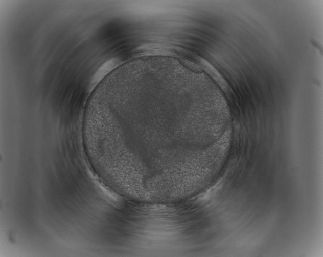 X0000095131002200801041242