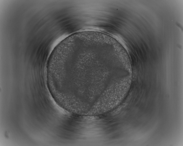 X0000095131003200801041242