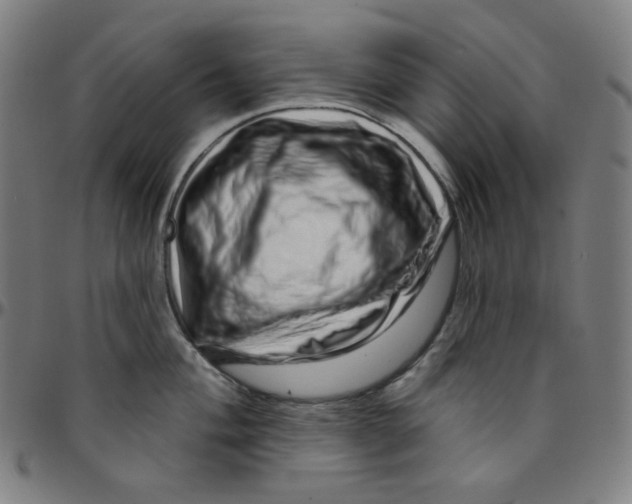 X0000095131004200801041242