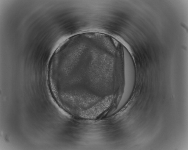 X0000095131005200801041242