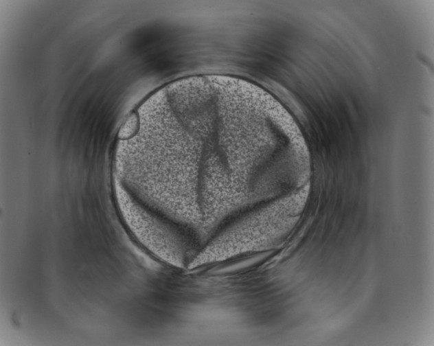 X0000095131006200801041242