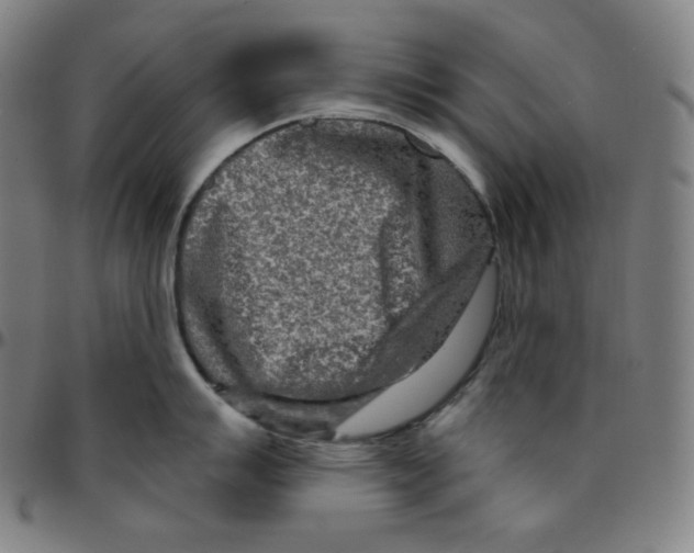 X0000095131007200801041242