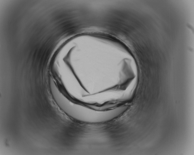 X0000095131008200801041242