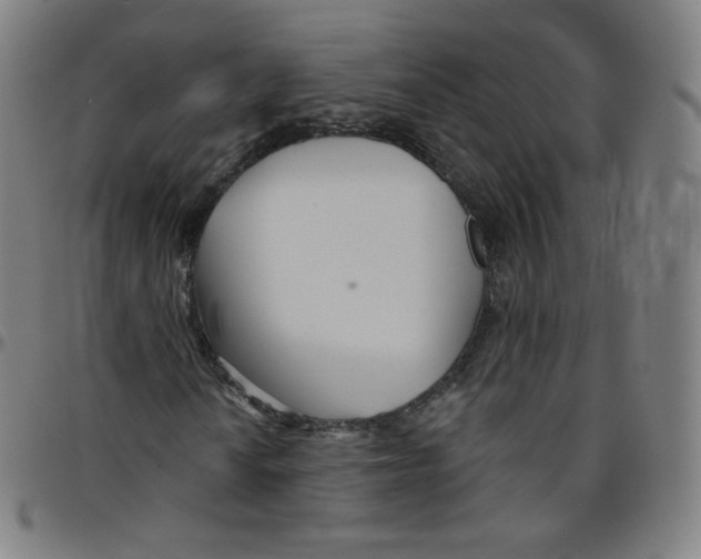 X0000095131010200801041241