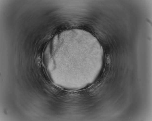 X0000095131011200801041241