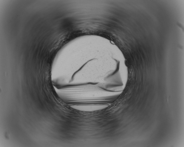 X0000095131012200801041241