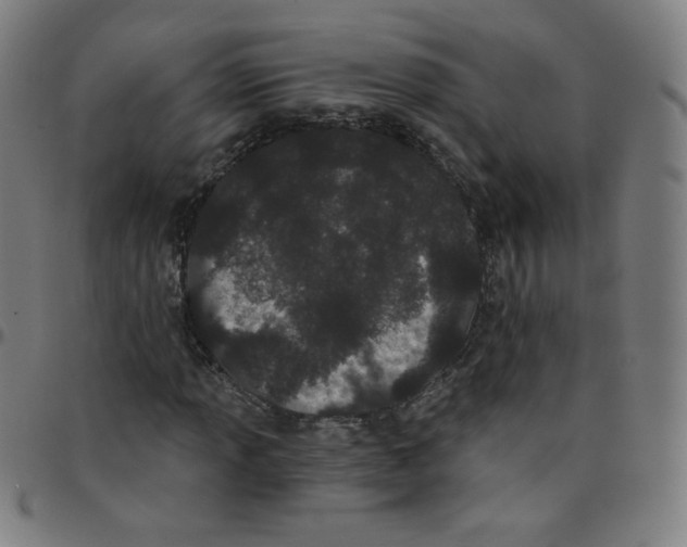 X0000095131013200801041241