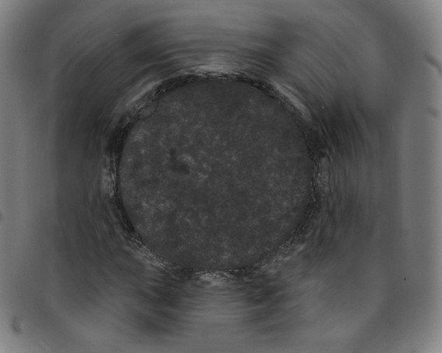 X0000095131015200801041241