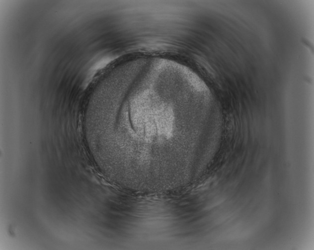 X0000095131016200801041241