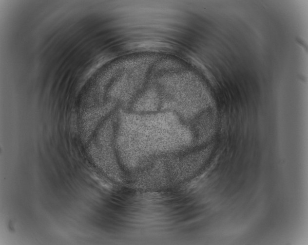 X0000095131019200801041241