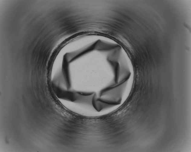 X0000095131020200801041241