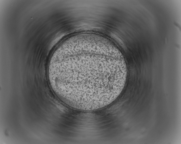 X0000095131023200801041241