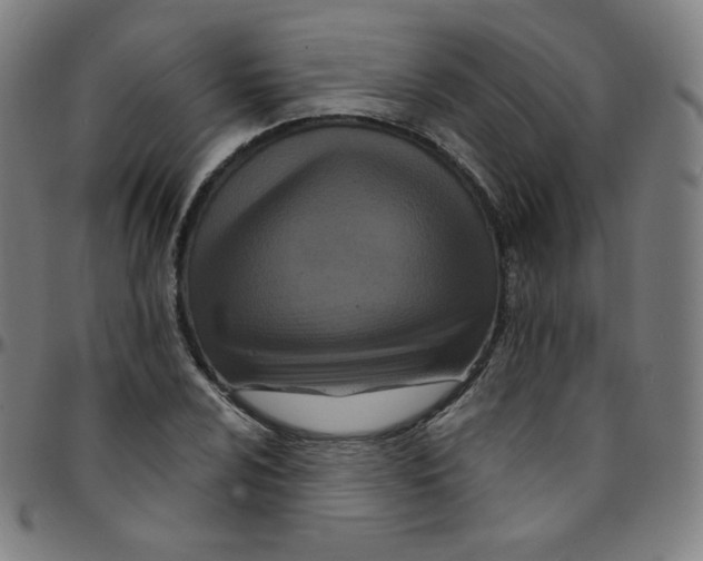 X0000095131024200801041241