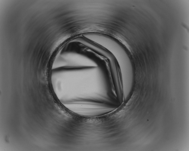 X0000095131026200801041242