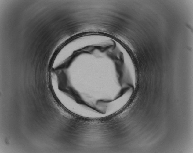 X0000095131029200801041242